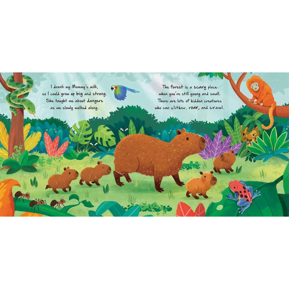 Little Capybara: Little Nature Stories Board Book