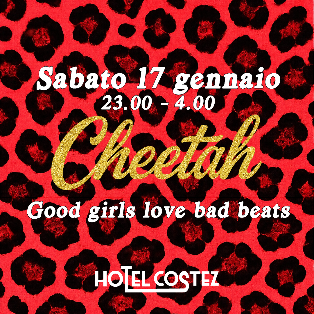 Cheetah🐆 flyer