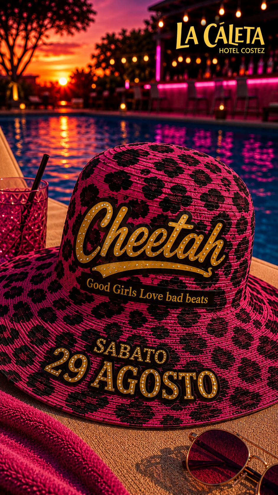 Cheetah🐆 flyer