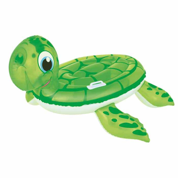 BWAY RIDER TURTLE