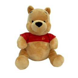 DISNEY PLUSH WINNIE CORE POOH M2 14