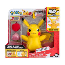 POKEMON FEATURE DLX TRAIN & PLAY