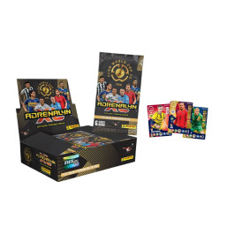 Panini FIFA Club World Club 2025 Trading Cards