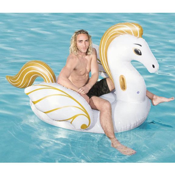Floating Ride -  Luxury Pegasus