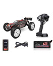 RC PRO : Ziegz