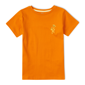Футболка для мальчика Krako Жирафчик Оранжевый от 7 до 8 лет 2020T15 122-128