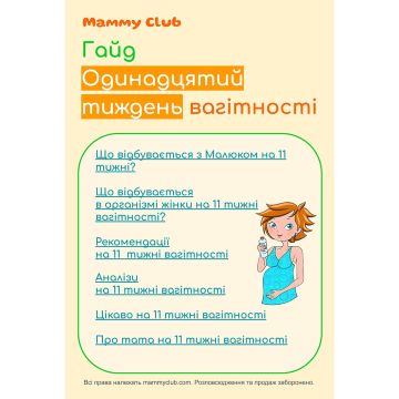 Одинадцятий тиждень вагітності. Гайд