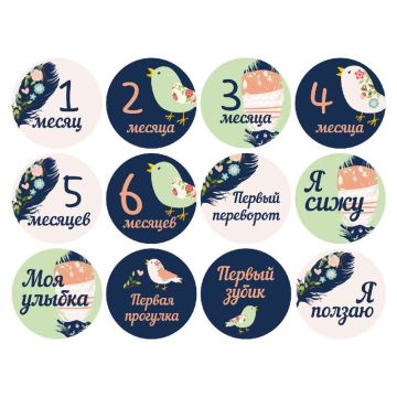 Набор наклеек для фото Memiks Перья 0-6 месяцев перья-0-6-рус