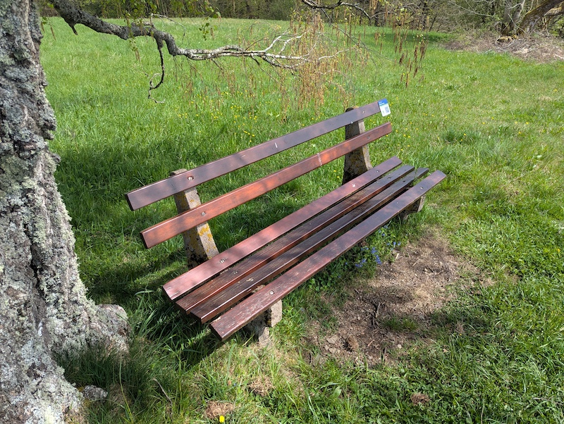 Elzach