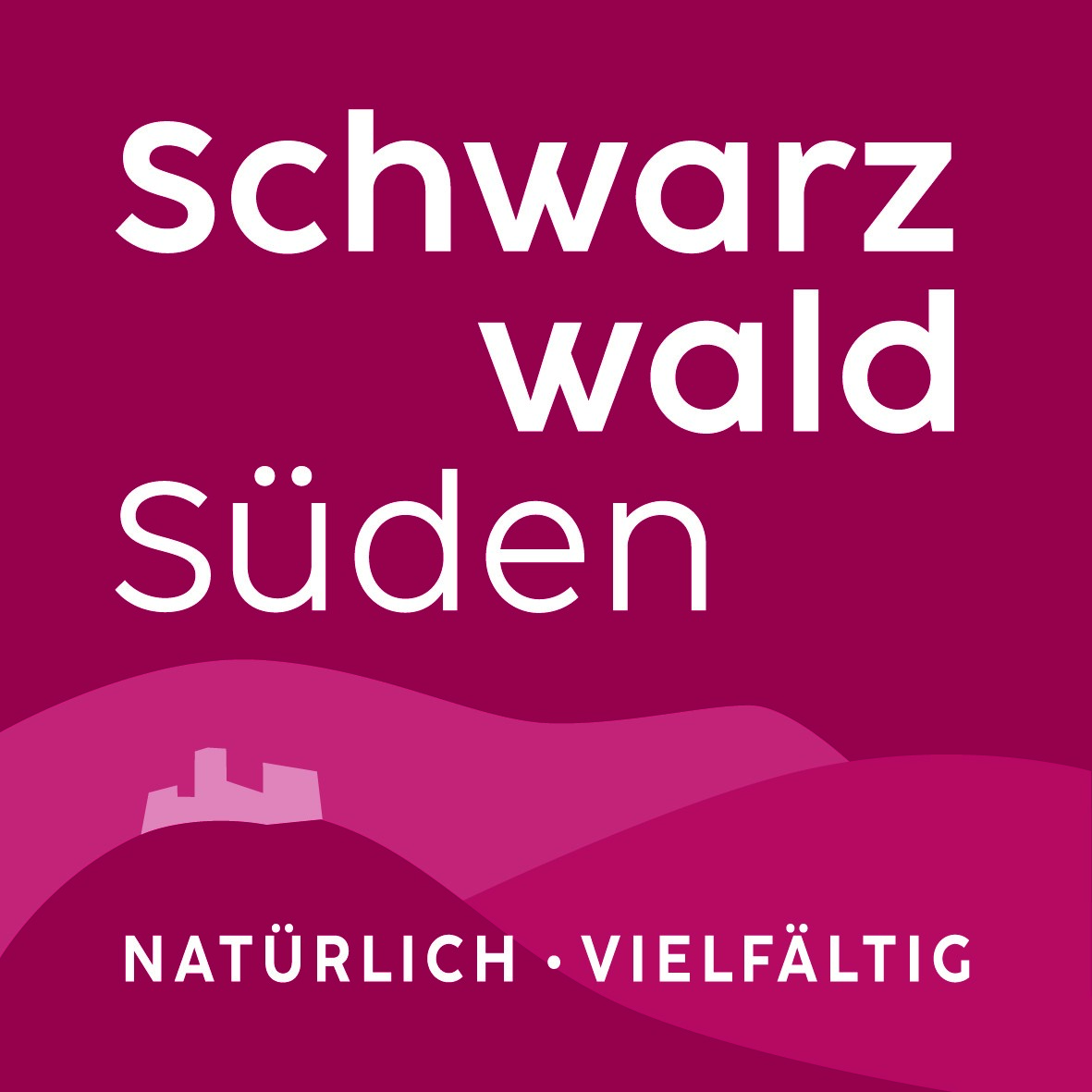 Schwarzwaldsüden