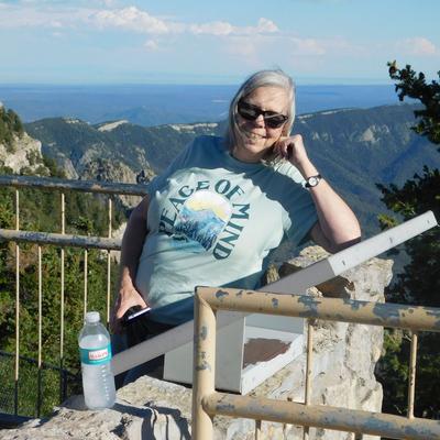 morgansher@mastodon.world