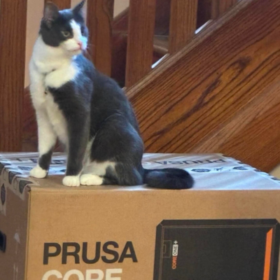 [?]