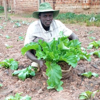 Farms In Schools Initiatives