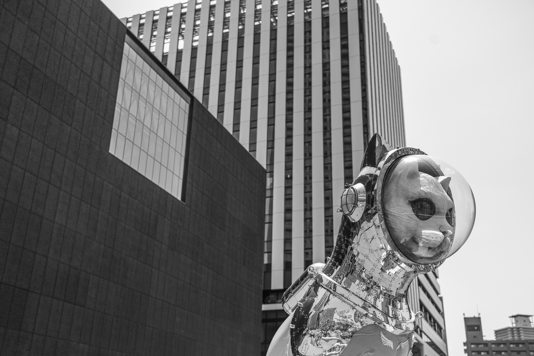 Profile Banner
