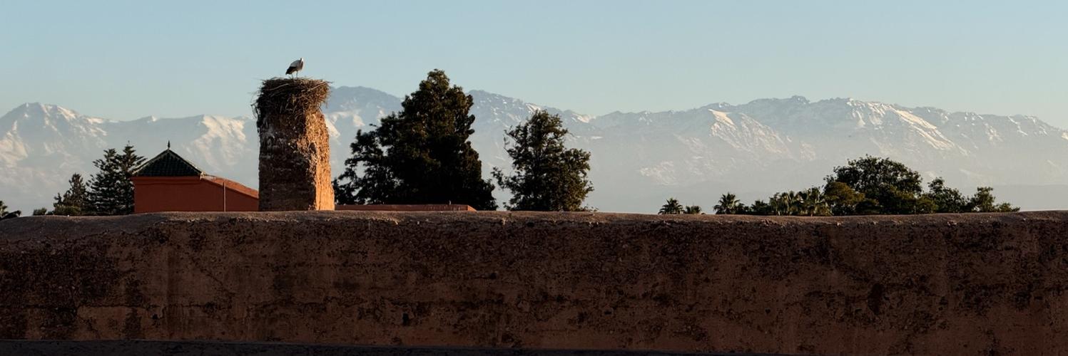 Profile banner