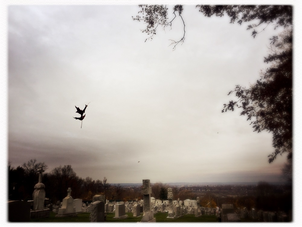 Profile banner