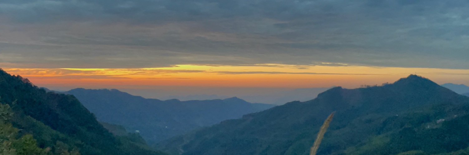 Profile banner