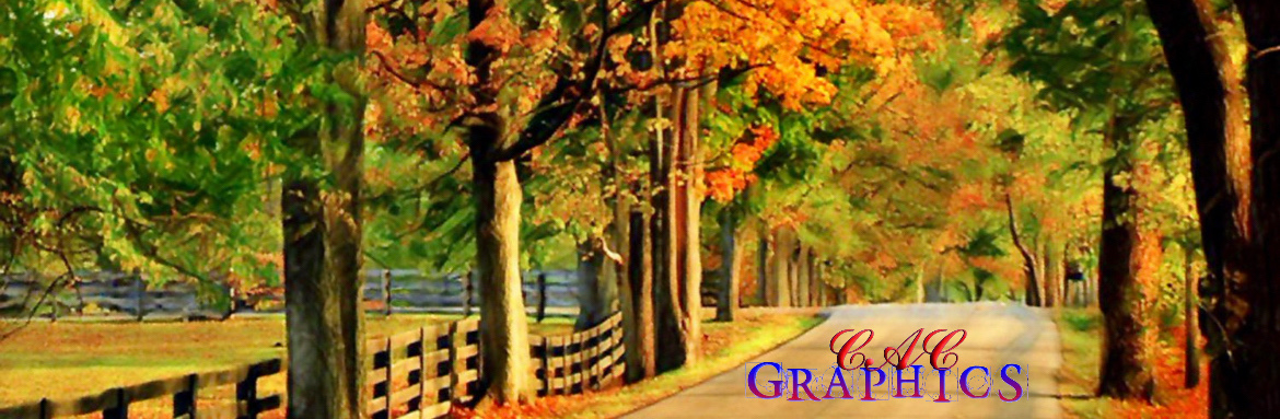 Profile banner