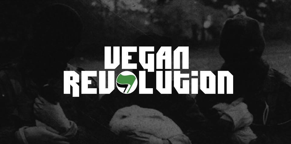 Profile banner