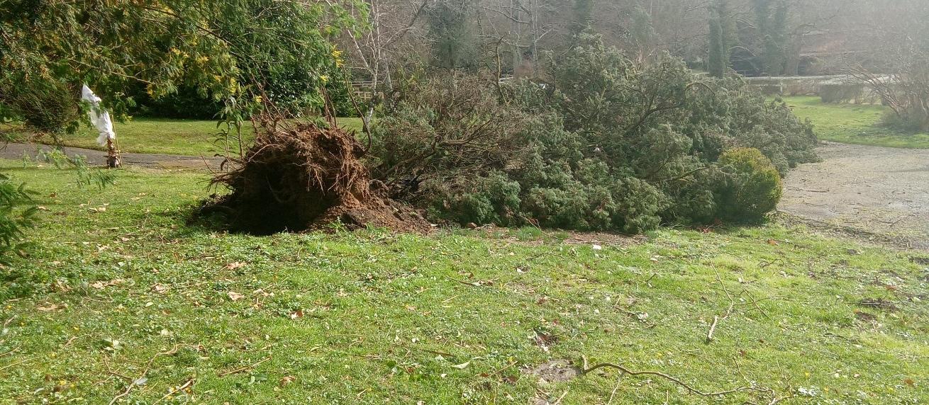 fourmiune's profile header