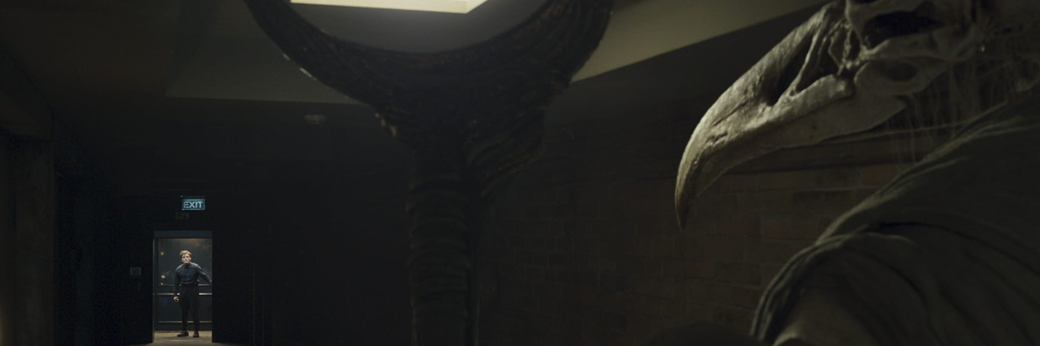 Profile banner