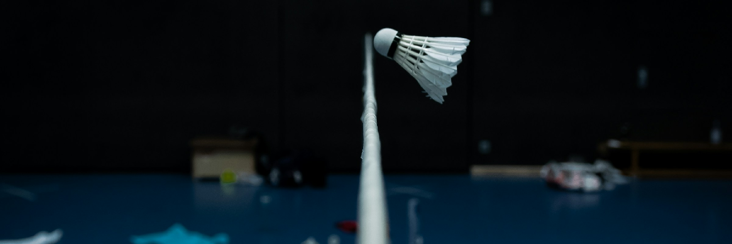 Profile banner