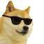 :doge_cool:
