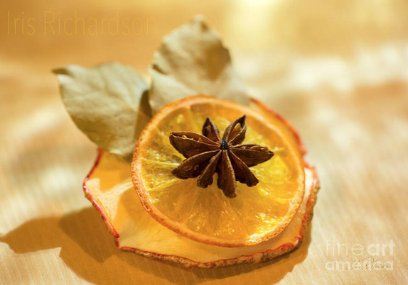 A kitchen DUI craft project - slice oranges and apples and put them into the dehydrator or low-temperature oven. Once dry take a needle and treat layer an apple, orange slice, bay leaf, and anis star and secure them together. If you do not intend to use them as the food you can also use hot glue. The photograph is a close-up of this food ornament. The lower slice is the apple, next comes the orange on top and the bay leaf is behind and under the orange. The anis star is in the middle of the orange. The ornament sits on a soft yellow tablecloth. #DuiCraft #DUIOrnament #Ornament #IrisRichardsonArtist #Craft #homemade #KitchenArt #Art #CountryArt #ChristmasOrnament