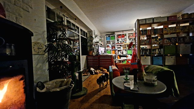 Blick aus dem sonst dunklen Raum an den bunten, hell erleuchteten, etwas chaotischen Arbeitsplatz mit Werkstattwagen, Monitoren, und raumhohen Regalen vom brennenden Kamin aus, ein Hund liegt schlafen am Boden, eine Katze lÃ¤uft durchs Bild.