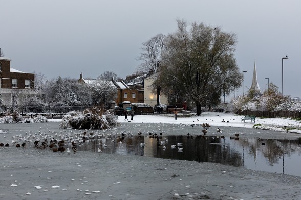 A snowy scene with a frozen pond in the foreground, with wildfowl roosting on the ice.
