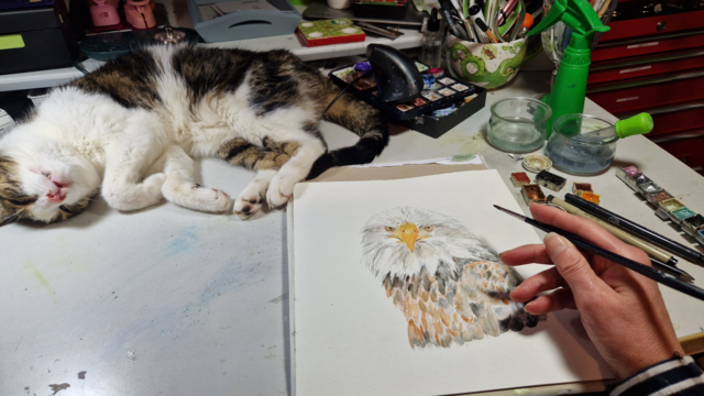 work in progress Malerei Weißkopfseeadler, Katze liegt schlafend daneben