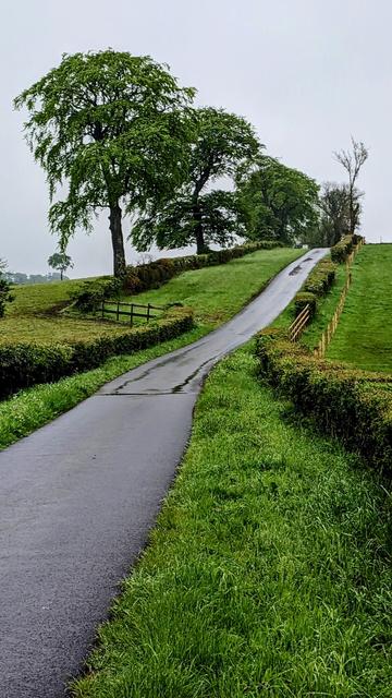 A single track country road leads off up a wee hill, past beautiful beech trees. It's all green clean and fresh as a daisy
The city starts two fields away