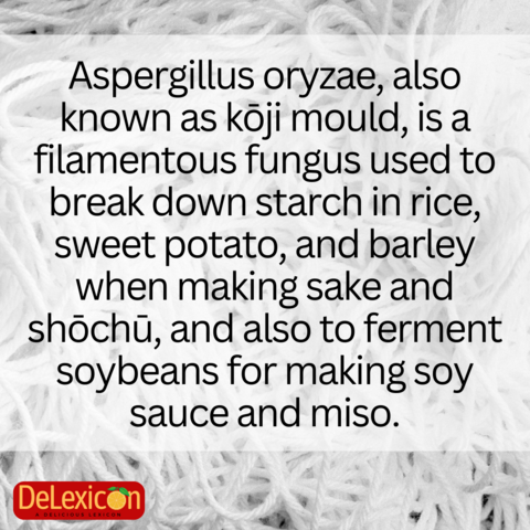Aspergillus oryzae, also known as kōji mould, is a filamentous fungus used to break down starch in rice, sweet potato, and barley when making sake and shōchū, and also to ferment soybeans for making soy sauce and miso.