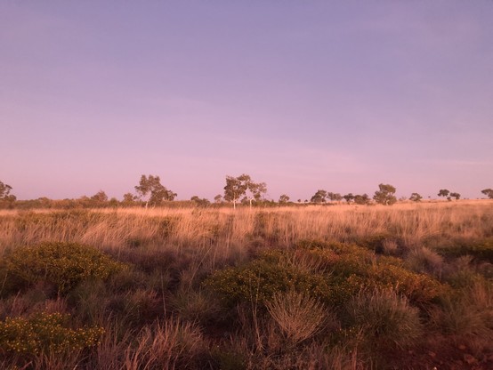 Wide flat land in soft sunrise  purples and oranges with dark horizon in foreground