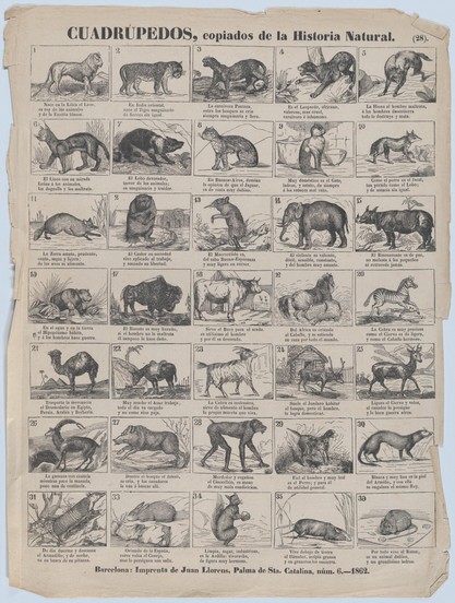 Title: Broadside with 36 images of quadrupeds (animals)
Publisher: Juan Llorens (Spanish, active Barcelona, ca. 1855–70)
Date: 1862
Medium: Wood engraving
Dimensions: sheet: 17 5/16 x 13 1/8 in. (44 x 33.3 cm)
Classification: Prints
Credit Line: Max G. Wildnauer Fund, 1978
Accession Number: 1978.643.25(3)