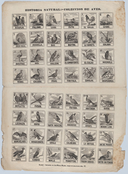 Title: Broadside with 48 scenes of birds
Publisher: José María Marés (Spanish, active ca. 1850–70)
Date: ca. 1860–70
Medium: Wood engraving
Dimensions: Sheet: 17 5/16 × 12 5/8 in. (44 × 32 cm)
Classification: Prints
Credit Line: Max G. Wildnauer Fund, 1978
Accession Number: 1978.643.59(12)