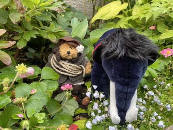A picture of a stuffie mammoth and a teddy in old fashioned clothes in a flower bed.