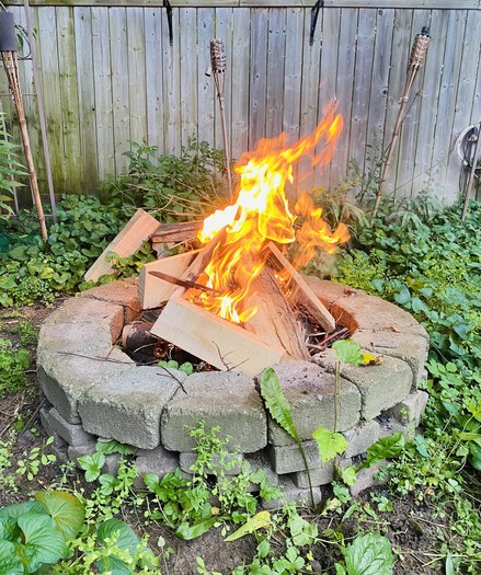 A blazing fire pit surrounded by lush greenery.