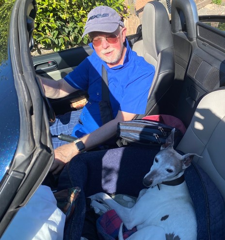 inside an open top car, I sit at the wheel, in blue shorts, blue short-sleeved shirt, blue cap, sunglasses. In the passenger seat lies Meg our white and grey whippet looking relaxed in the bright sunshine