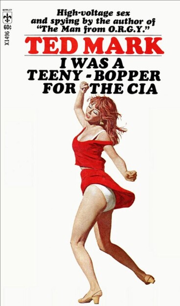 I was a Teeny Bopper for the CIA Book Cover