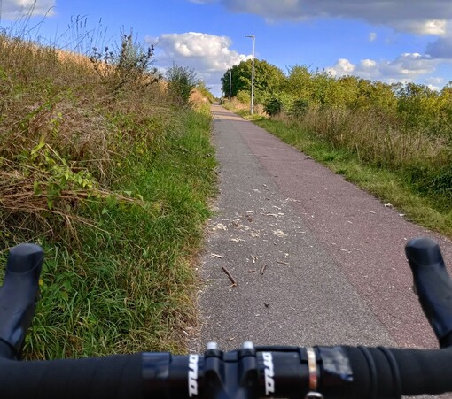 The view over my handlebars, of a shared path through a park, with re-wilded long grass, under a cloudy blue sky.