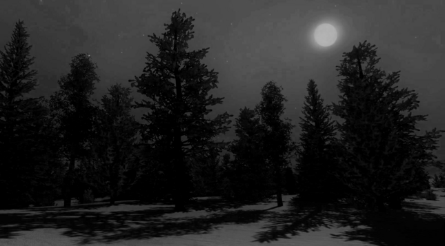 Black and white image of the moon during a winter snowfall, moonlight illuminating pine trees, casting their shadows to the snowy ground below.