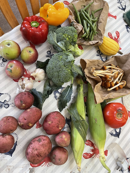 Photo of food from a farm. Apples, potatoes, broccoli, corn, tomato, mushrooms, squash, garlic, red potatoes, green beans, and bell peppers. ￼