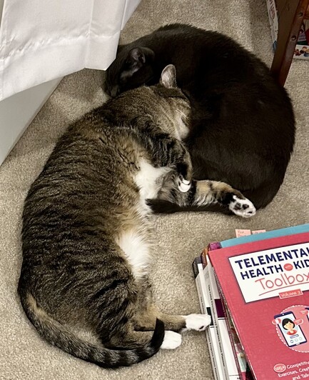 Photo of two cats lying on a carpet floor near a stack of books. One cat, dark gray, is laying in a reverse C-shape. The other cat, brown with black stripes, is laying on his side facing toward the gray cat. His legs slightly raised to reveal a fluffy wheel belly and chest. His face and head are completely smushed into the belly of the gray cat.