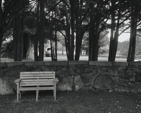 A monochrome image of a bench in front of a wall surrounded by Junipers on the Harris Center grounds.
