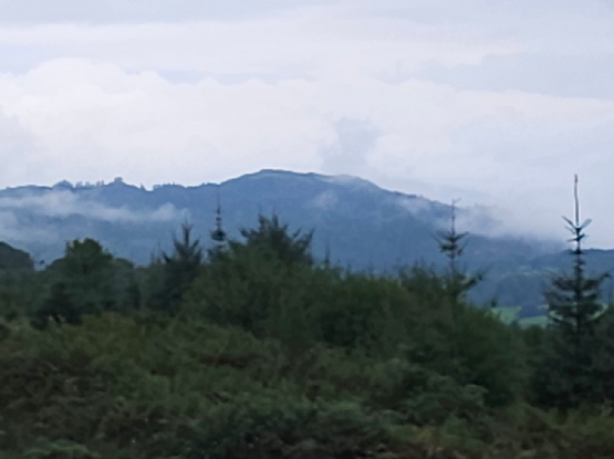 A view of small mountains and mist, with trees in the foreground.