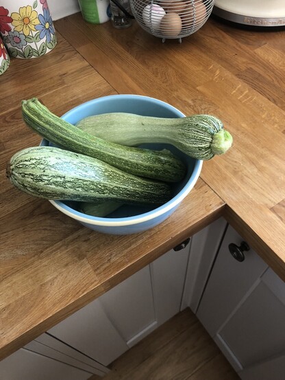 Bowel of courgettes on a kitchen counter