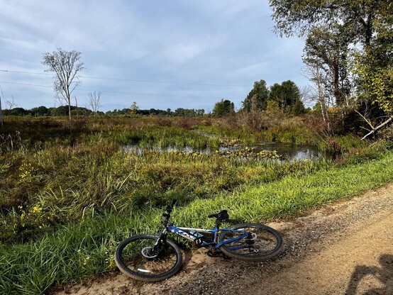 A blue bike on a dirt road overlooking wetlands an lily pads