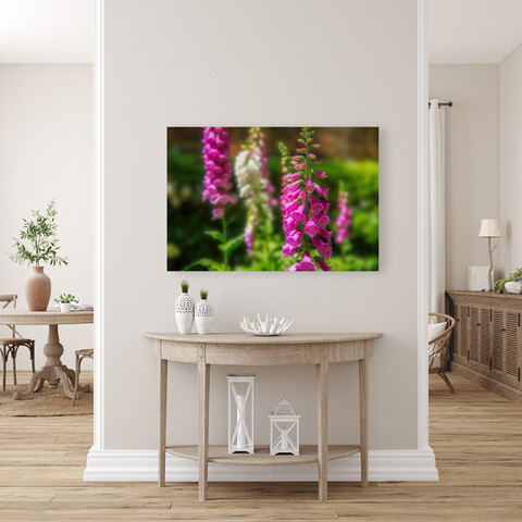Beautiful pink and white Candy Mountain foxglove flowers shown against background of rich summer green grass and leaves. From Fine Art Gallery of Shelia Hunt.
