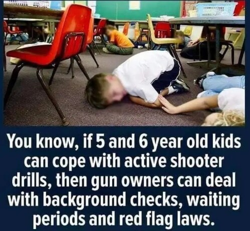 You know, if 5 and 6 year old kids can cope with active shooter drills, then gun owners can deal with background checks, waiting periods and red flag laws.